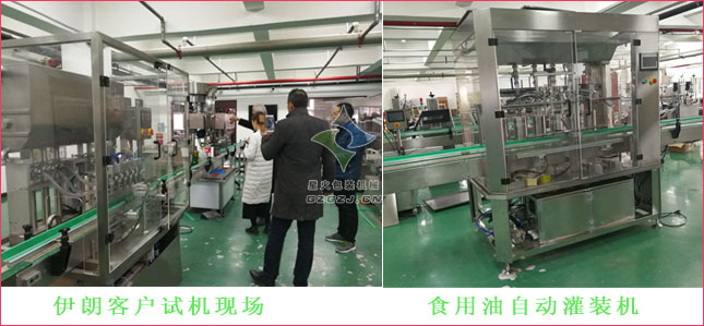 5公斤食用油灌裝生產(chǎn)線,菜籽油灌裝生產(chǎn)線,大豆油灌裝生產(chǎn)線